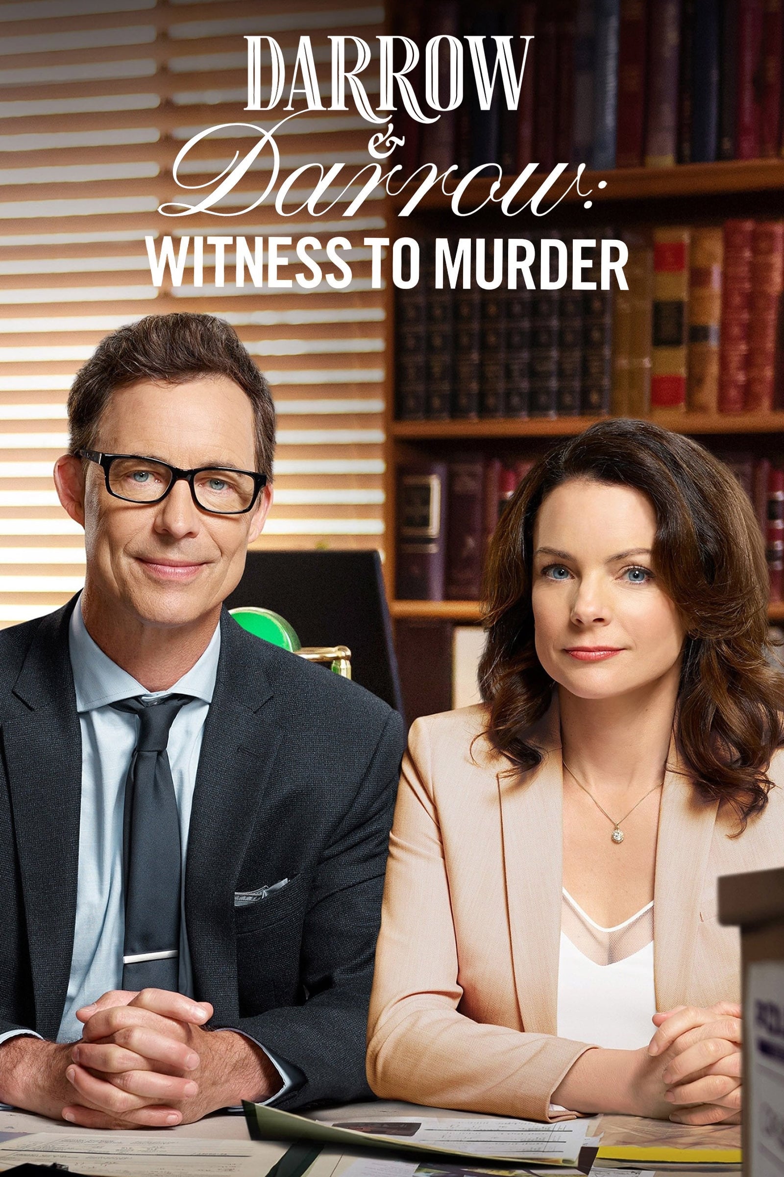 Постер Darrow & Darrow: Witness to Murder